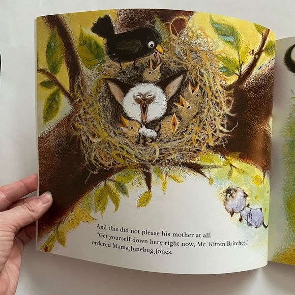 Judy Schachner Skippyjon Jones - Picture 4 of 6